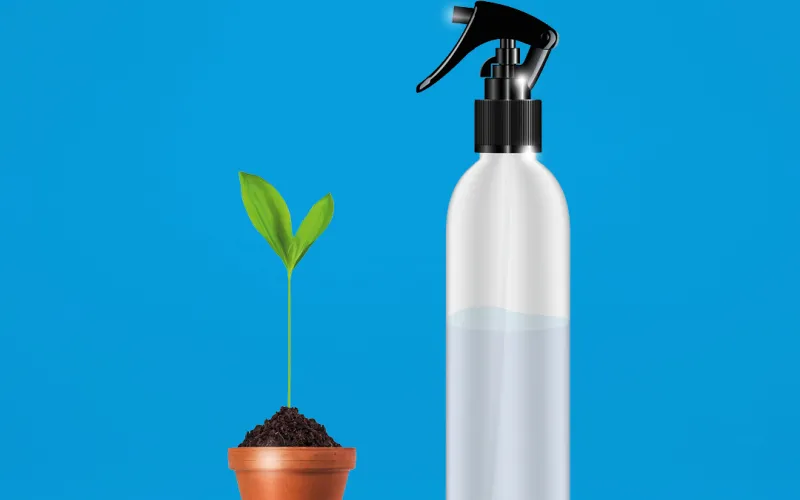 Oberhalb steht der Text "You want to grow? We are bursting with opportunities." Unterhalb des Texts befindet sich eine Pflanze und eine Sprühflasche.