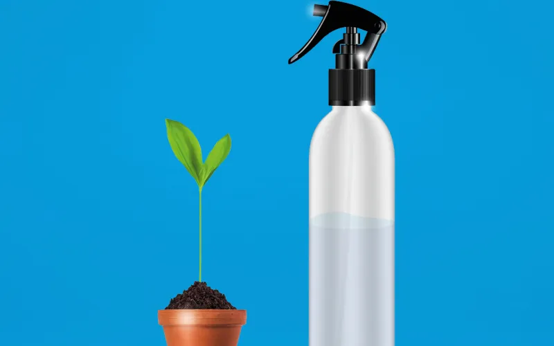 A plant and a spray bottle in front of a blue background.